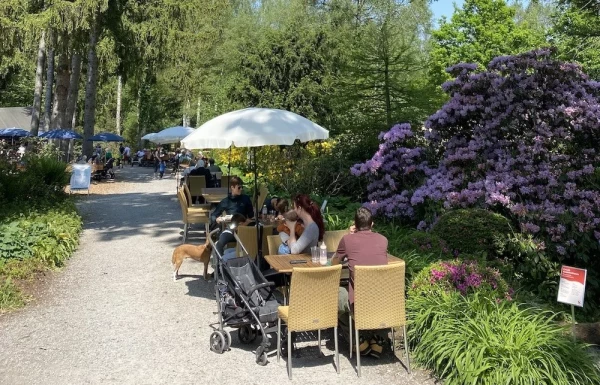 Parkbeizli im Seleger Moor mit Rattanmöbeln unter weissen Sonnenschirmen. Blühende Rhododendren und Waldkulisse.