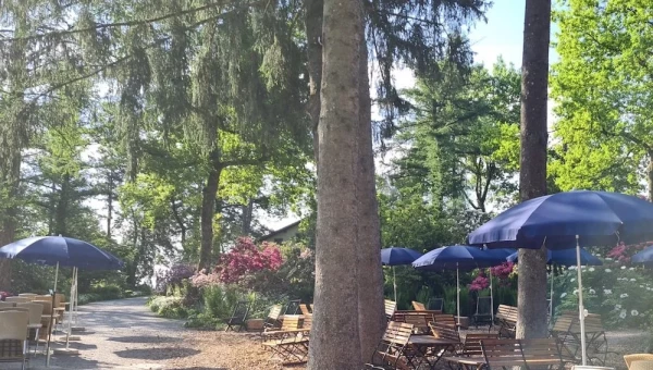 Schattige Sitzplätze unter hohen Tannen, ausgestattet mit Holzmöbeln und blauen Sonnenschirmen. Blühende Rhododendren im Hintergrund.