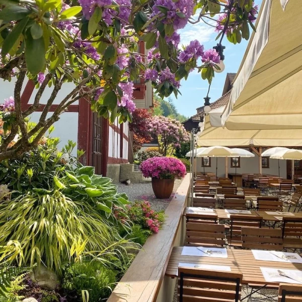 Blühende Rhododendren schmücken den Biergarten im Frühsommer.